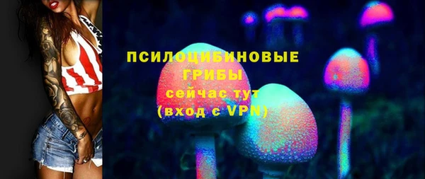 экстази Алексин