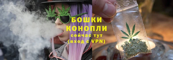 ГАЛЛЮЦИНОГЕННЫЕ ГРИБЫ Алзамай