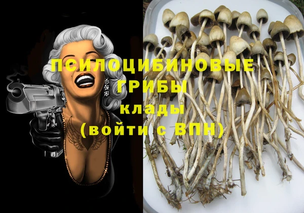 твердый Куйбышев