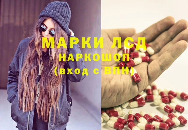 ГАЛЛЮЦИНОГЕННЫЕ ГРИБЫ Алзамай