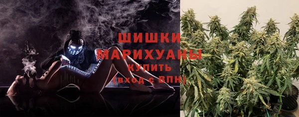 ГАЛЛЮЦИНОГЕННЫЕ ГРИБЫ Алзамай