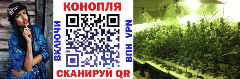 Канабис VHQ  цена   Агрыз 